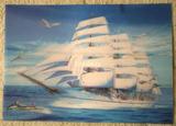 3D Effect Lenticular Printing Moving Picture Wall Decor 
